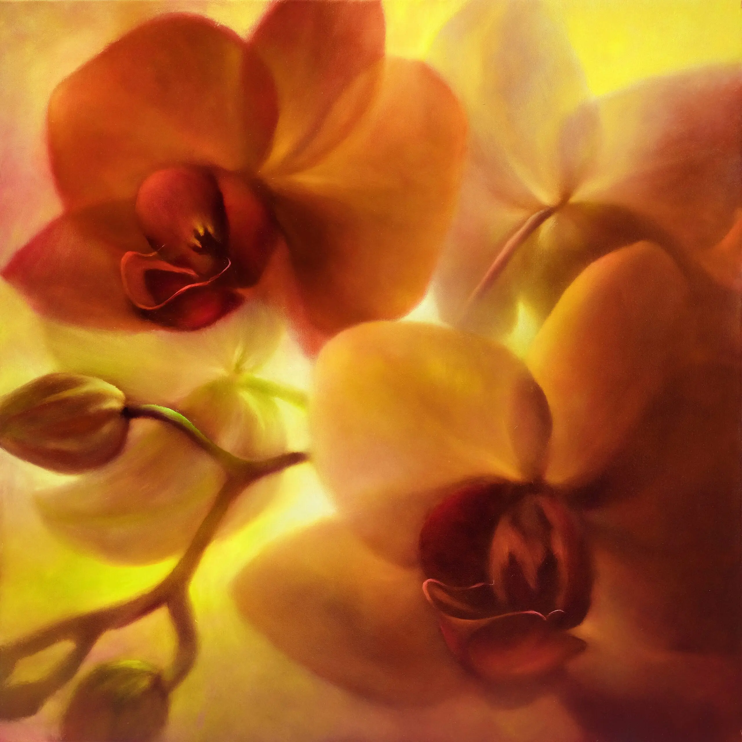 Wandbild (6076) Orchideen_ präsentiert: Natur,Blumen und Blüten