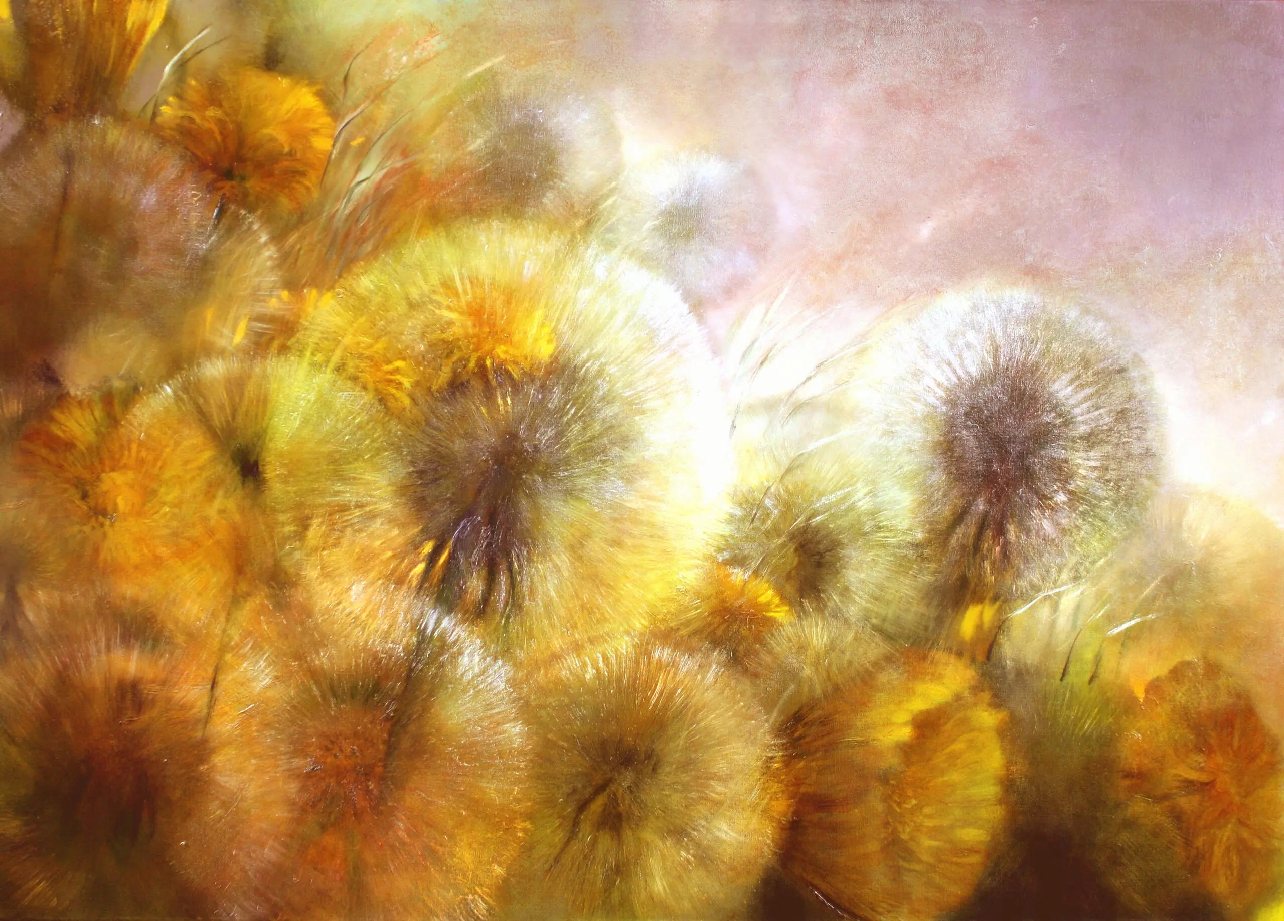 Wandbild (6080) Spätes Licht präsentiert: Natur,Blumen und Blüten