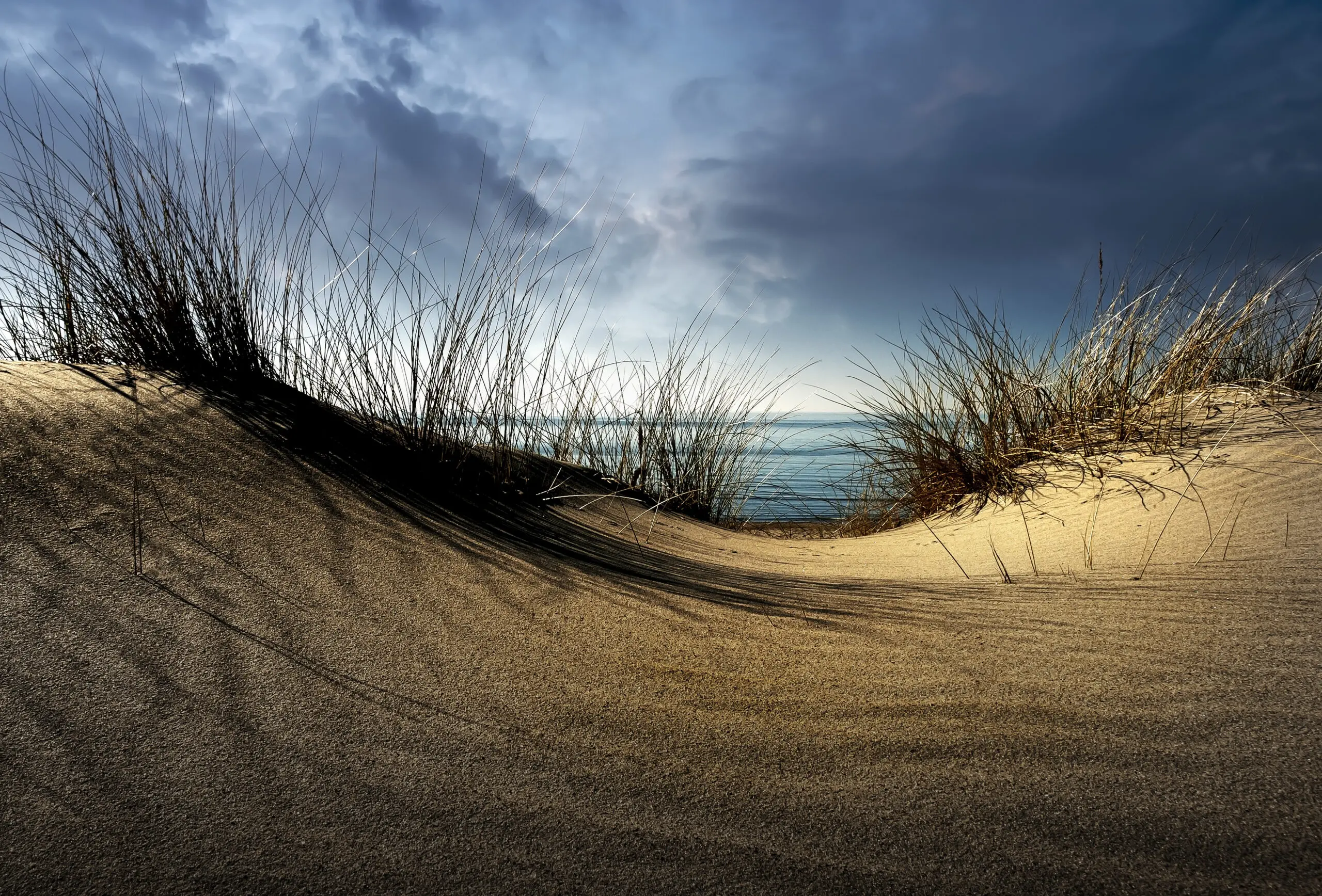 Wandbild (6155) Dunes by Wim Schuurmans,1x.com präsentiert: Wasser,Natur,Landschaften,Gräser,Strände,Meere