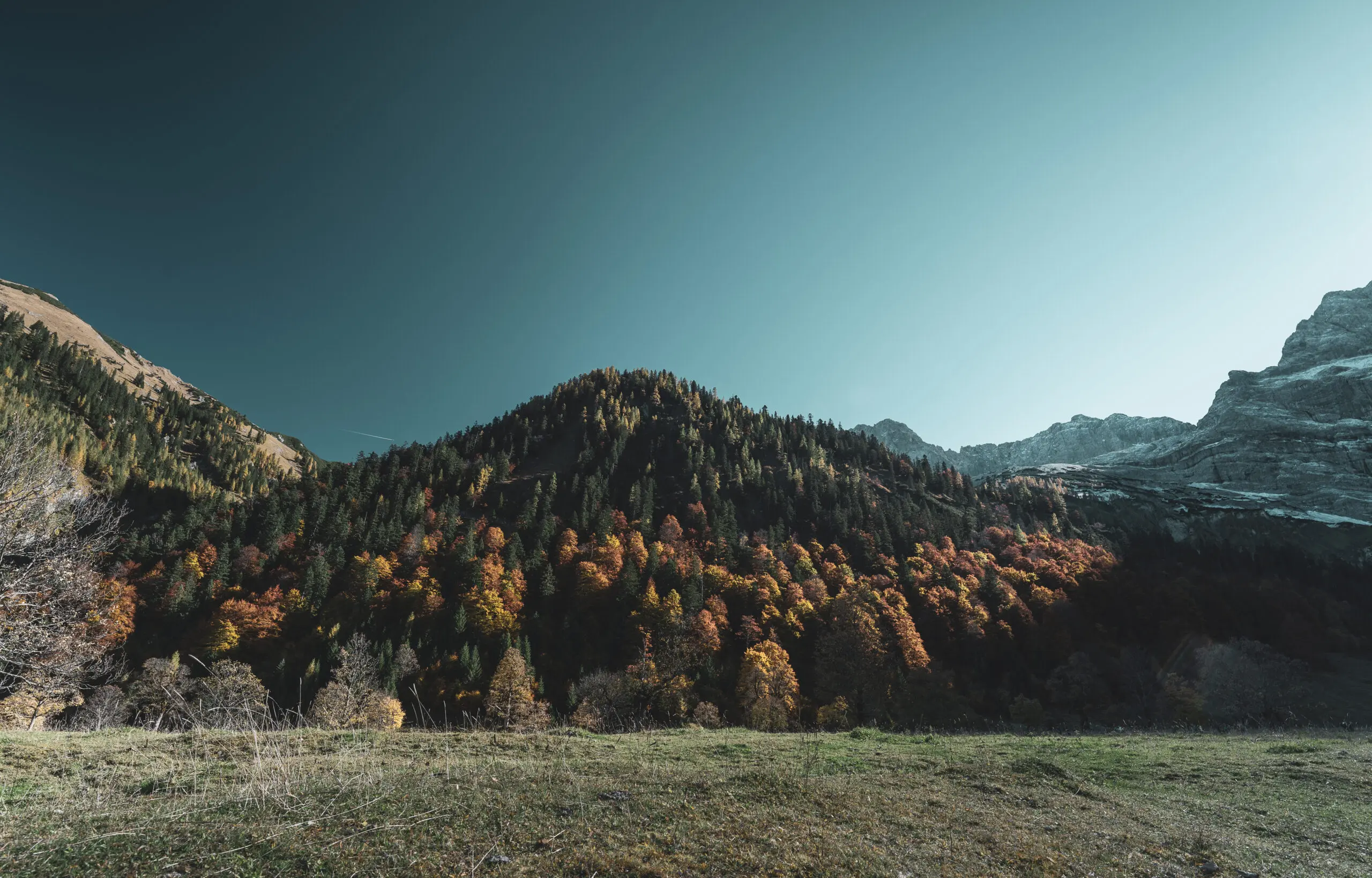 Wandbild (6220) on my own by Judith Grote präsentiert: Natur,Landschaften,Bäume,Wälder,Berge,Herbst