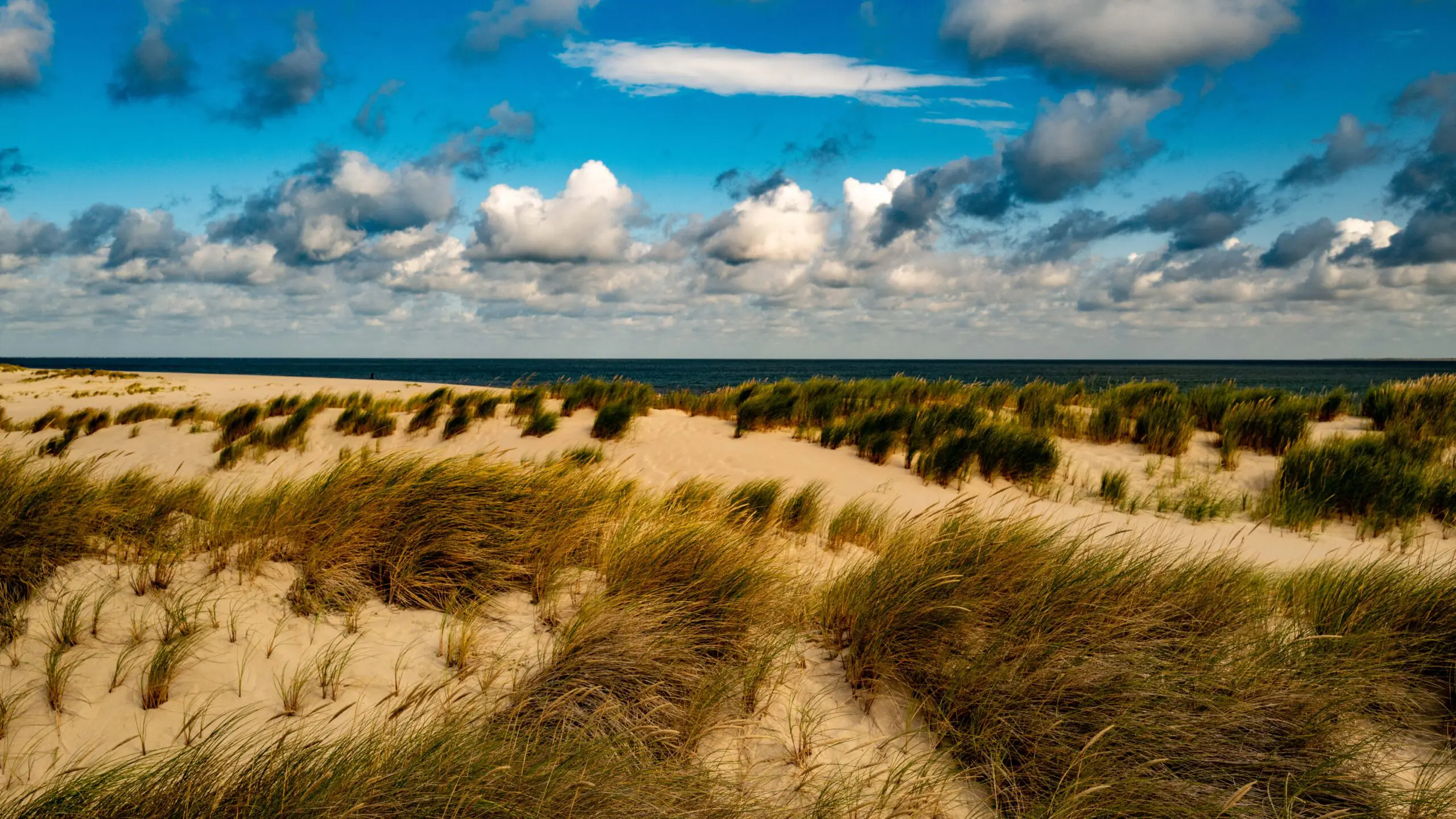 Wandbild (6198) Dune präsentiert: Landschaften,Sommer