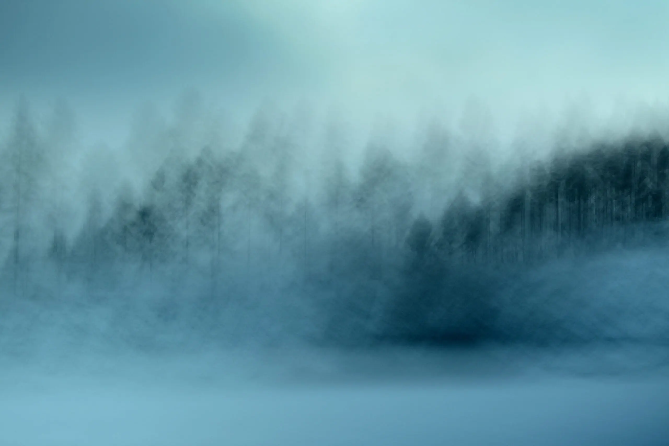 Wandbild (6324) wintersaga by Christina Sillen,1x.com präsentiert: Natur,Landschaften,Schnee und Eis,Wälder