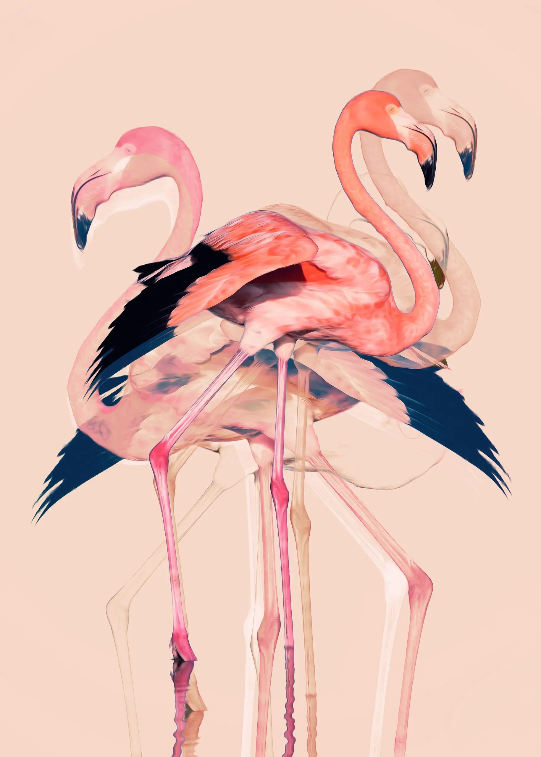 Wandbild (25500) Flamingos nr. 3 by Baard Martinussen präsentiert: Kreatives,Tiere