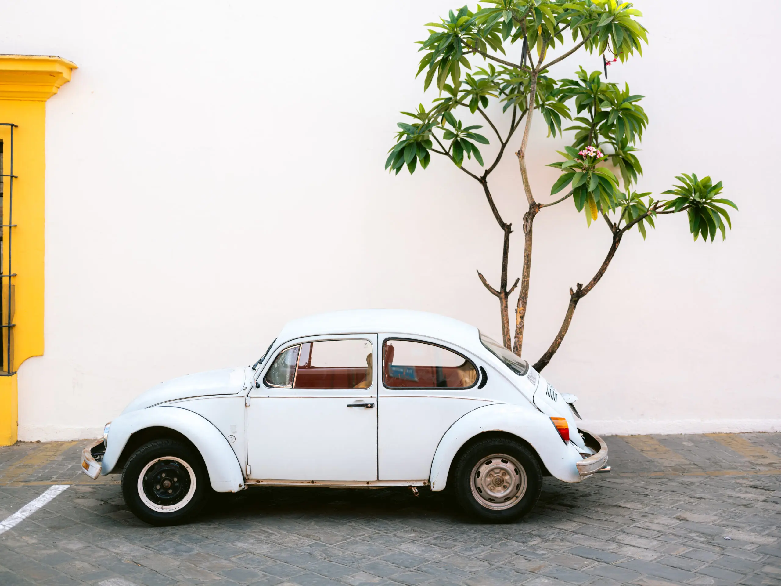 Wandbild (26297) Pastel Volskwagen Beetle in the streets of Oaxaca Mexico by Raisa Zwart präsentiert: Technik,Kreatives