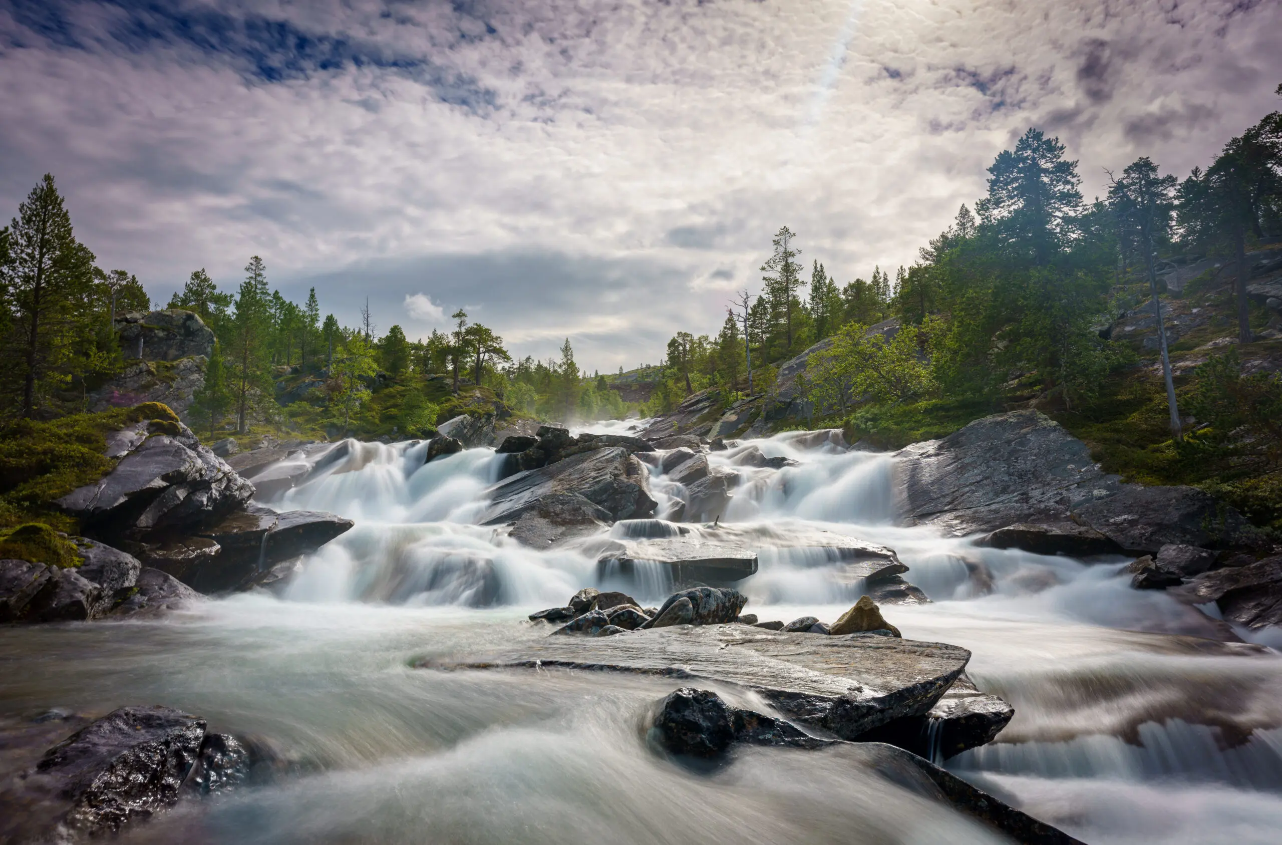 Wandbild (26538) Wildnis by Judith Grote präsentiert: Wasser,Natur,Landschaften,Sommer,Wälder,Berge,Gewässer