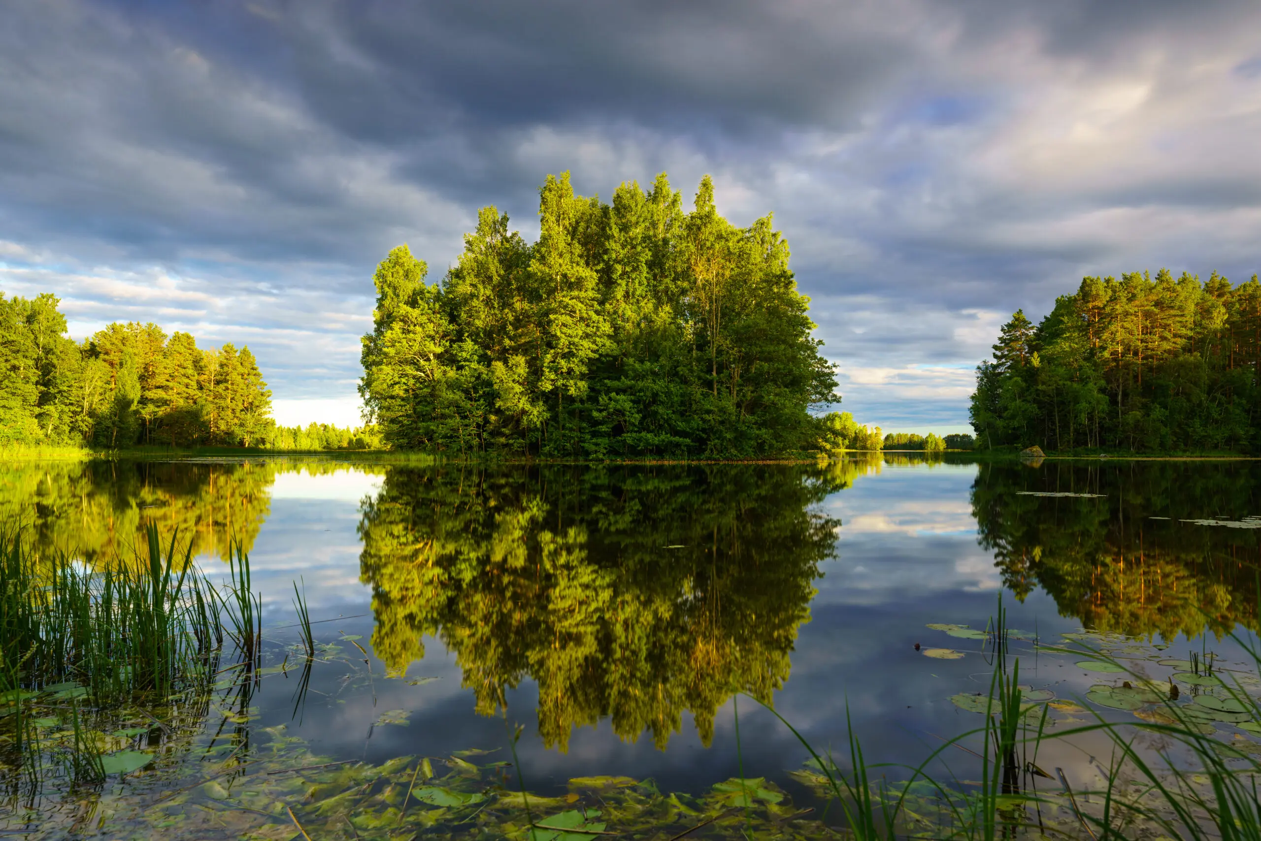 Wandbild (26540) Spiegel der Seele by Judith Grote präsentiert: Wasser,Natur,Landschaften,Sommer,Wälder,Gewässer,Seen,Wasserspiegelungen