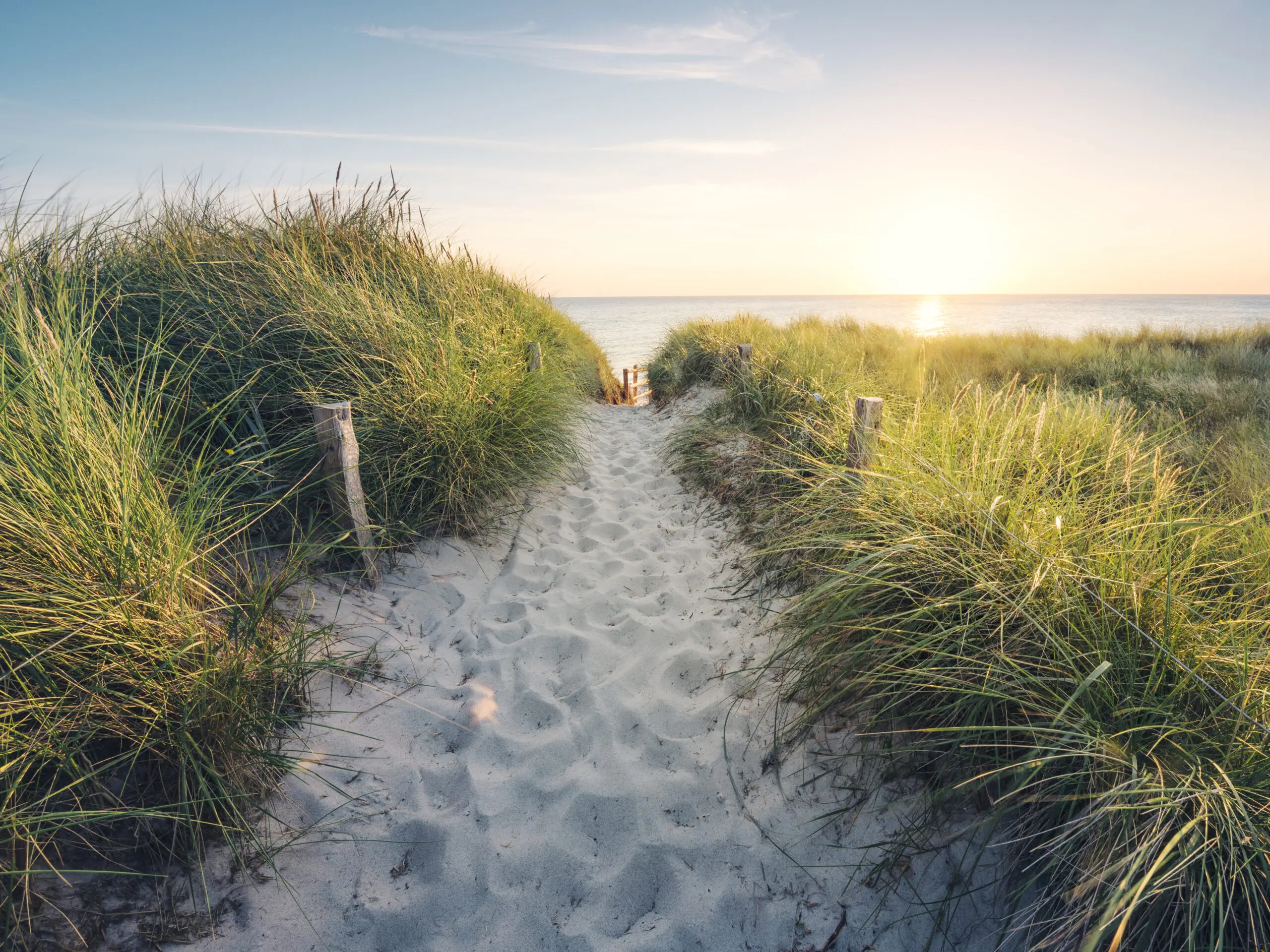 Wandbild (26861) To the Beach by StefanHefele präsentiert: Wasser,Natur,Landschaften,Sommer,Strände,Wege,Meere