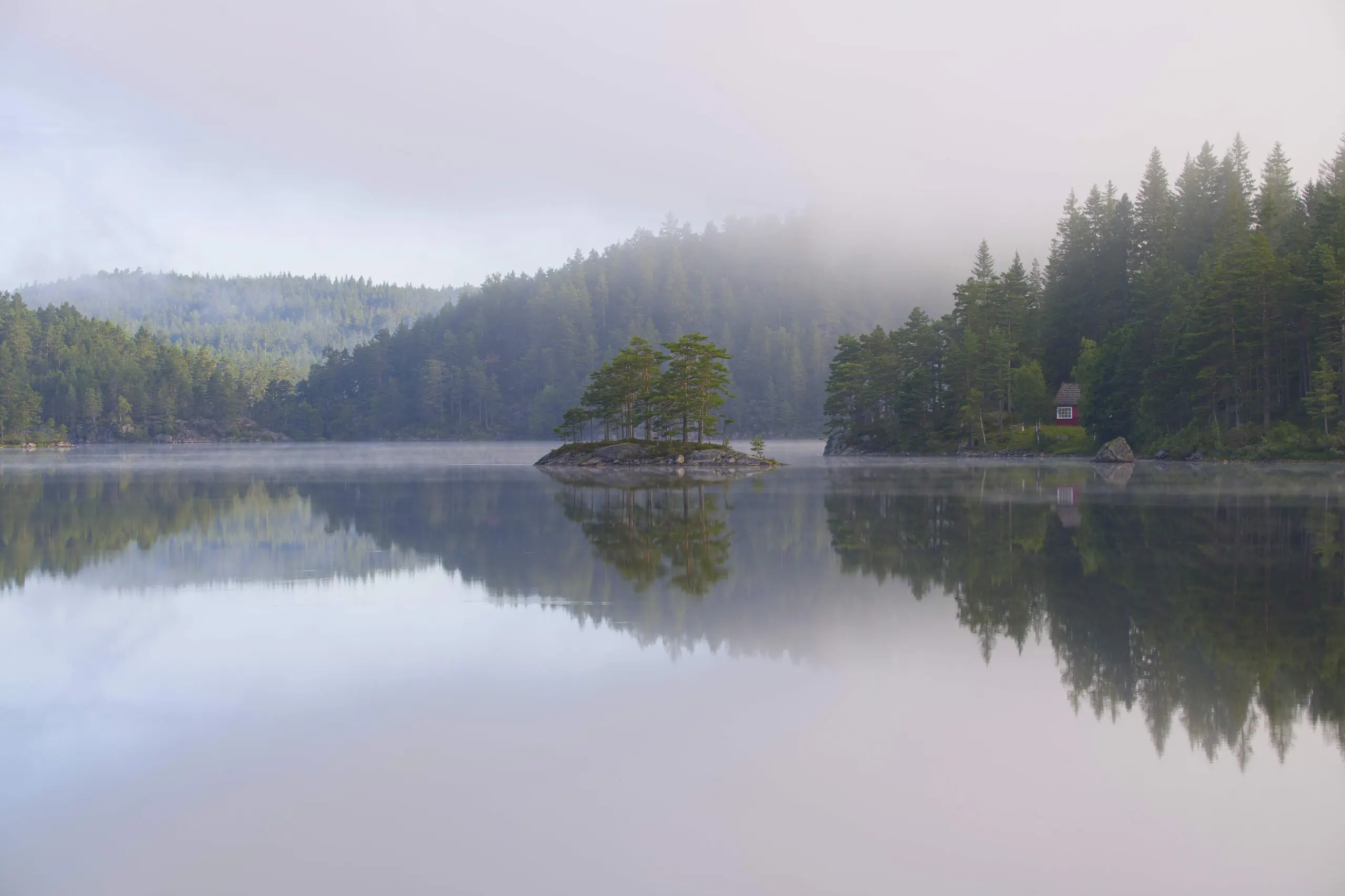 Wandbild (26896) Morgennebel auf Øvre Eikeland by Wolfgang Schomberg präsentiert: Wasser,Natur,Landschaften,Wälder,Berge,Seen