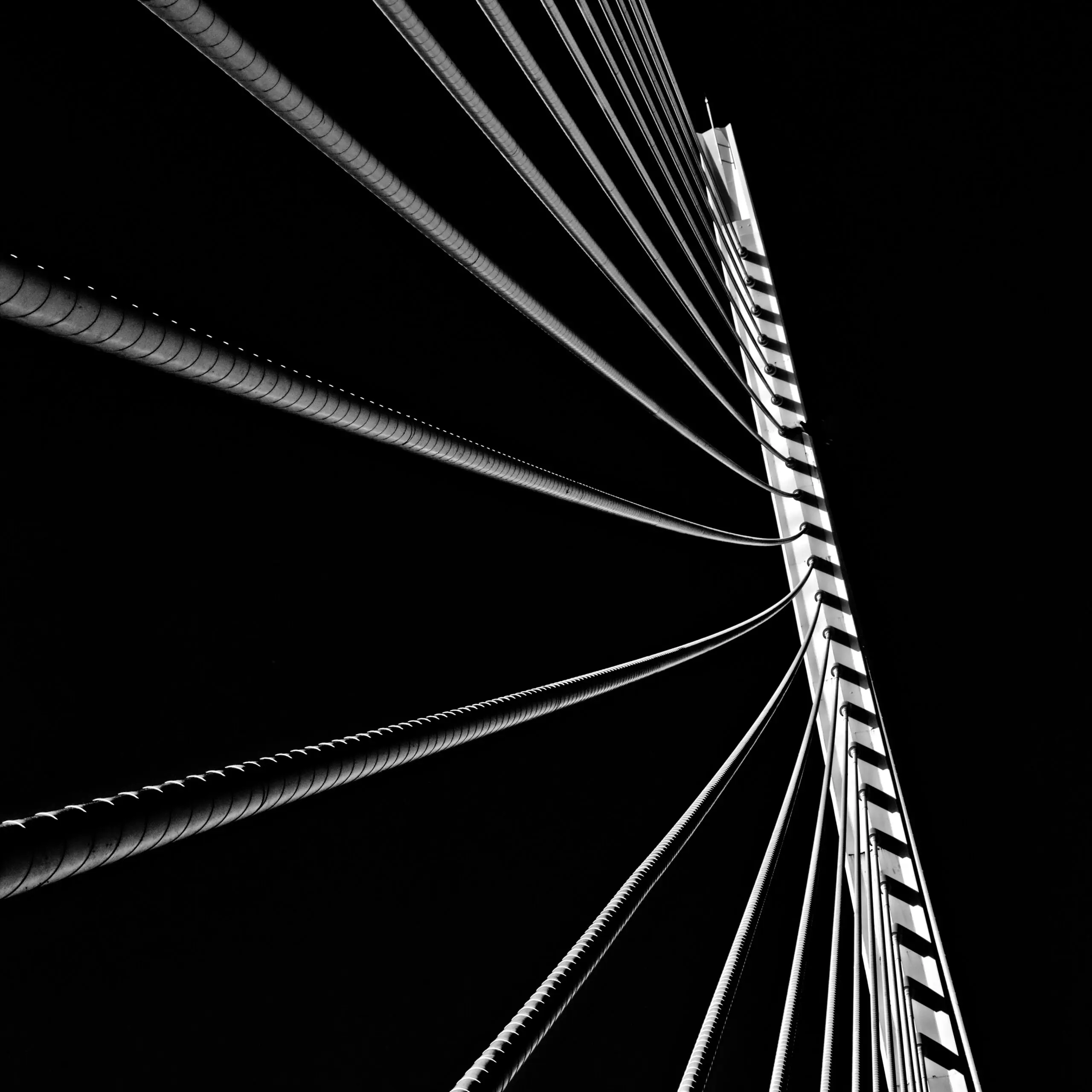 Wandbild (27351) Calatrava Bridge 01 by Eric Mattheyses präsentiert: Architektur,Abstrakt,Brücke