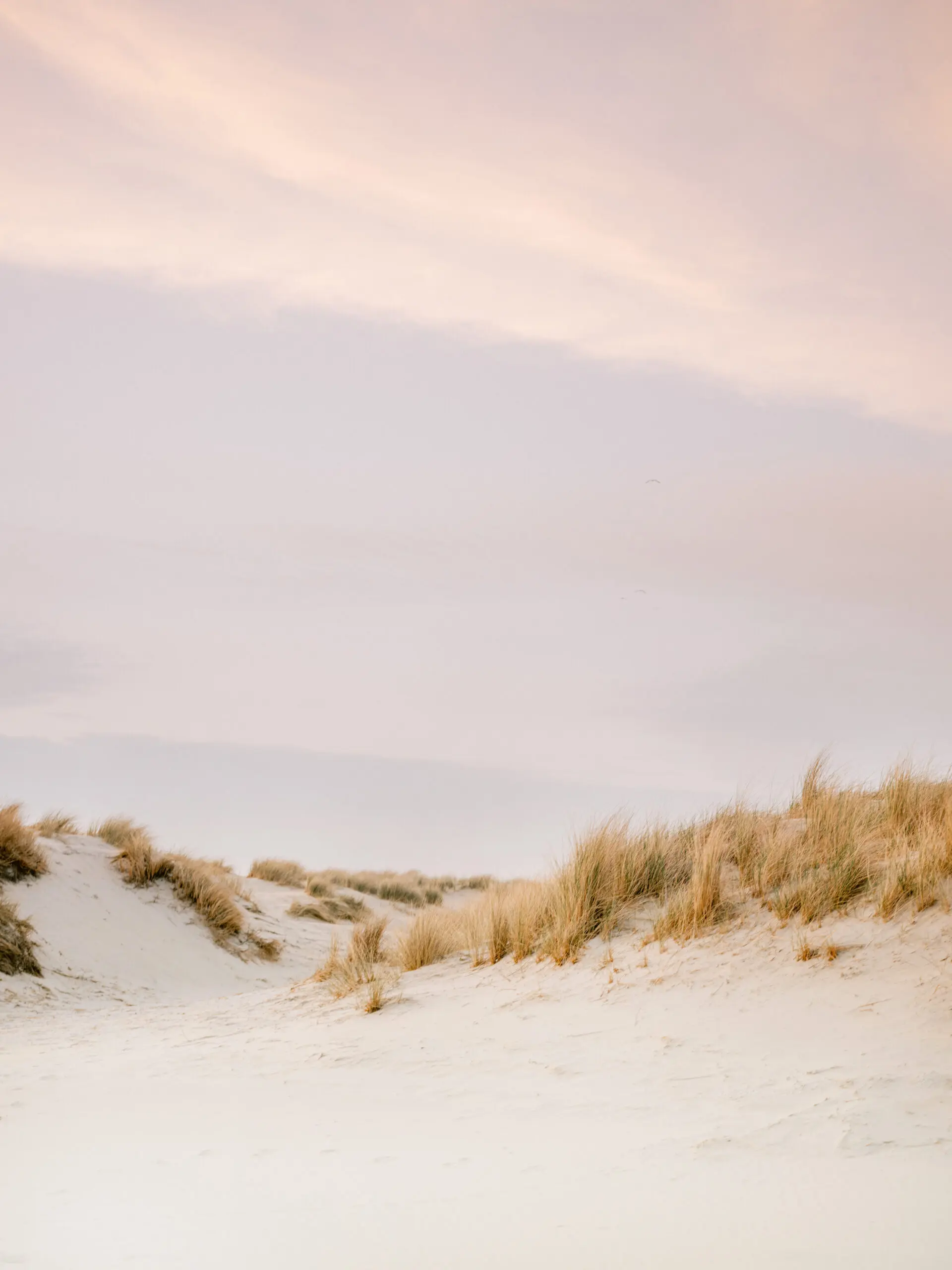 Wandbild (27601) Ameland Dunes 3 by Raisa Zwart präsentiert: Natur,Landschaften,Sommer,Strände